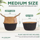 Plant Basket – Small Seagrass Planter Pot for Olive Trees, Woven Wicker Planter 8-9 Inches for Indoor Tall Artificial Plants (Black Bottom, Medium) by GreenHaven Gardens