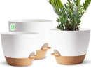Plant Pots,12+10+9 Inch Self Watering Pots with Drainage Hole for Indoor Plants Large Flower Pot, Plants Pots Indoor Outdoor,Modern White Plastic Planters for Indoor Plants by GreenHaven Gardens
