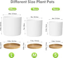 10/8/6 inch Deep Plant Pots, 3 Pack Cylindrical Large Flower Pots for Outdoor Indoor Plants, Tall Plastic Planters with Drainage Holes and Saucers for Garden House Plants, White with Brown by GreenHaven Gardens