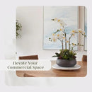 Faux Orchid Plant w/Succulents, Premium Artificial Indoor Flower Display Stands 24” w/Beautiful Sculptural Blooms and Succulents That Lasts Forever, Grey Planter Pot Included by CozyNest Decor