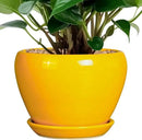 Ceramic Pot for Plants - 6 Inch Plant Pot Glaze Modern Decorative Round Planter with Drainage Hole and Saucer for Home Patio Room Office House Decor, Yellow by GreenHaven Gardens