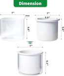 Phoenix Vine 6 Inch Self Watering Planter Pot, Design White Terracotta Pot for Plants, Indoor Cylinder Terra Cotta Pot with Glass Vase, Set of 1, 51-B-F-1 by GreenHaven Gardens