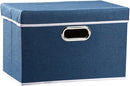 PRANDOM Collapsible Storage Bin with Lid [1-Pack] Fabric Foldable Storage Box Organizer Container Basket Cube with Cover for Home Bedroom Closet Office Nursery Royal Blue(14.9x9.8x9.8) by TinyTreasures Baby Boutique