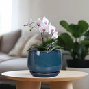 G EPGardening Ceramic Pot for Plants - Modern 7 Inch Round Planter with Drainage and Tray Indoor Outdoor for Flower, Porch Decor, Gardening Gifts, Retro Blue by GreenHaven Gardens