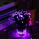 Toodour Solar Christmas Lights Outdoor, 200 LED 8 Modes Christmas String Lights, Waterproof Solar Light String for Garden, Patio, Fence, Holiday, Party, Balcony, Outdoor Christmas Decorations - Purple by GreenHaven Gardens