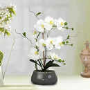 White Orchid Artificial Flowers with Gray Vase Large Silk Faux Phalaenopsis Flowers for Dining Room Table Floral Centerpieces Indoor Decoration by CozyNest Decor