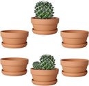 vensovo 5.7 Inch Terracotta Shallow Succulent Pot - 6 Pack Terra Cotta Clay Pots with Saucer, Cacuts Terra-Cotta Indoor and Outdoor Planters with Drainage Hole by GreenHaven Gardens
