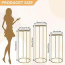 chamvis Gold Metal Plant Stand, 3 Pcs Tall Cylinder Pedestal Stands for Parties and Weddings, Gold Round Cylinder Tables for Living Room and Patio Decor by GreenHaven Gardens