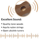 POMAIKAI Soprano Wood Ukulele Starter Ukelele Hawaii Guitar 21 Inch for Beginners and Students(Brown) by TinyTreasures Baby Boutique