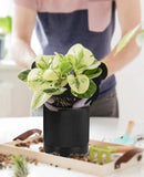 LaDoVita 3 Pack Ceramic Plant Pots 6/5/4 inch, Flowerpot for Indoor Plants with Drainage Holes and Tray, Outdoor Garden Planters, Modern Decorative for Home, Black Vertical Stripes by GreenHaven Gardens