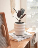 Bubble Ceramic Plant Pots with Drainage Holes and Saucers,6 inch Medium Flower Pots Modern Decor Planter for Indoor Plants(White) by GreenHaven Gardens
