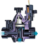 Rain Bird 100PGA 1" Inlet Inline Plastic Commercial Irrigation Valve (2 Pack) by GreenHaven Gardens