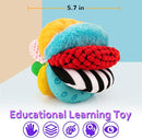 8-in-1 Sensory Balls for Infant Toddlers,Rainbow Fabric Baby Toy for Sensory Development,Montessori Toys for Babies 6-12 Months,8 Different Sensory Tactile Textures with Crinkle Rattle Squeakers by TinyTreasures Baby Boutique