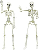 CAMIRUS 2PACK Plastic Posable Halloween Skeleton Decorations, 3FT Poseable Skeleton Full Body with Movable Joints for Halloween Indoor/Outdoor Haunted Houses, Lawn, Graveyard Decor by GreenHaven Gardens