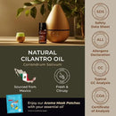 Gya Labs Cilantro Essential Oil for Diffusers - 0.34 Fl Oz - 100% Natural Cilantro Oil for for Skin, Massage, Aromatherapy & Candle Making Scent by CozyNest Decor