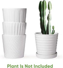 Brajttt Flower Pots,6 Inch Succulent Pots with Drinage,Indoor Round Planter Pots with Saucer,White Cactus Planters with Hole,Outdoor Graden Pots 4 Pack by GreenHaven Gardens
