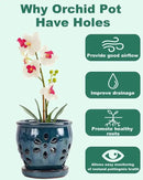 vensovo 5 Inch Ceramic Orchid Pots with Holes and Saucers - 1 Pcs Small Succulent Pot for Repotting, Garden Flowerpots for Plants Indoor and Outdoor Promotes Air Circulation, Blue by GreenHaven Gardens