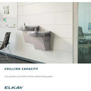 Elkay LZS8S Cooler, Stainless Steel by CozyNest Decor