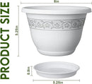 8 Inch Plant Pots with Drainage Hole - Lightweight Flower Pots for Herbs and Flowers - Home Decor Plastic Planters for Indoor Outdoor Plants- Pack of 6 (White, 8 inch) by GreenHaven Gardens