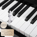 MUSICUBE Kids Piano Keyboard 25 Keys Digital Piano for 3-7 Years Old Beginner Girls Boys First Mini Piano Toys Educational Musical Instrument Gift Choice (Range: C4-C6) by TinyTreasures Baby Boutique