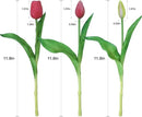 15pcs Artificial Tulips Flowers, Fake Tulips Real Touch, Faux Latex Bouquets, for Party Wedding Home Room Decoration (Rose Red) by CozyNest Decor
