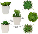 Hollyone Succulents Plants Artificial 3Pcs Small Fake Succulents in Pots Faux Plastic Potted Plants with White Ceramic Pot for Home Decor Classroom Office Bathroom Shelf Indoor & Outdoor Decorations by GreenHaven Gardens