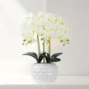 Orchid Artificial Flowers with White Vase Large Silk Faux Phalaenopsis Flowers for Dining Room Table Floral Centerpieces Indoor Decoration,White by CozyNest Decor
