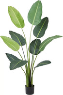 Worth Garden 59in Artificial Bird of Paradise Plant 4.9ft, Large Faux Tropical Tree for Office and Home, Lifelike Greenery for Indoor and Outdoor Spaces by CozyNest Decor