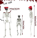5.4ft/165cm Halloween Skeleton - Life Size Skeleton Full Body Realistic Human Bones with Posable Joints for Halloween Pose Skeleton Prop Decoration (5.4Ft&3Ft) by GreenHaven Gardens