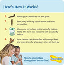 Insect Lore Two Cups of Live Caterpillars - 10 Live Painted Lady Caterpillars with Food - Includes Bonus Butterfly Life Cycle Figurines - Refill for Butterfly Garden Habitat by TinyTreasures Baby Boutique