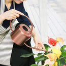 Remiawy Watering Can Indoor Outdoor Stainless Steel Watering Cans for House Plants Long Spout Water Can for Succulent Bonsai Garden Flower(40oz/1300ml) by GreenHaven Gardens