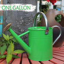 Metal Watering Can, One Gallon Watering Cans Stainless Steel for Outdoor Indoor Garden Plants Watering (Stainless Steel Handle Green) by GreenHaven Gardens