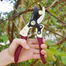 Gardening Scissors, Precision Pruning shears for Branches Shrubs and Vines, High-Carbon SK5 Steel Stays Sharp Longer for Clean Cuts that Promote Plant Health by GreenHaven Gardens