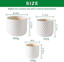 Docrin Ceramic Plant Pots Indoor: 6.5+5.3+4 Inch Planters with Drainage Holes for Home/Office - Set of 3 / White Honeycomb by GreenHaven Gardens