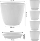 Plant Pots – 6 Inch Planters with Drainage Holes and Saucers, Flower Pots for Indoor and Outdoor Plants, Nursery Planting Pots (Pack of 5, White) by GreenHaven Gardens