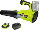 SnapFresh Cordless Leaf Blower - 550CFM Electric Leaf Blower Cordless with 4.0 Ah Battery and Fast Charger - 20V Lightweight Leaf Blower for Yard and Garden, Battery Operated Blower for Lawn Care by GreenHaven Gardens