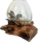 Hand Blown Molten Glass & Teak Wood Terrarium/Vase/Fish Bowl - Premium Quality (7" - 9" High) by CozyNest Decor