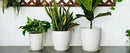 10 Inch Ceramic Planter Pot Large Plant Pot with Drainage Hole and Saucer Modern Round Flower Pot for Indoor Outdoor Plants Garden Pot White