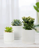 LaDoVita 3 Pack Ceramic Plant Pots 6/5/4 inch, Flowerpot for Indoor Plants with Drainage Holes and Tray, Outdoor Garden Planters, Modern Decorative for Home, White Vertical Stripes by GreenHaven Gardens
