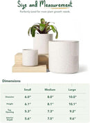 LE TAUCI Ceramic Plant Pots Indoor, 10+8+6 Inch Planters for Indoor Plants, Mid-Century Modern Flower Pots with Drainage Hole and Plug, Cylinder Round Planters, Set of 3, Reactive Glaze Beige by GreenHaven Gardens