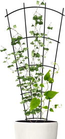 4 Pack 23'' Indoor Plant Trellis for Potted Plants Climbing, Outdoor Metal Garden Trellis Houseplants Flowers Vine Ivy,Fan Shape, Black by GreenHaven Gardens