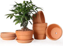INGOFIN 5 Inch Terracotta Shallow Pots Set with Saucer - Ceramic Clay Pots with Drainage Hole, Terra Cotta for Plants for Indoor Outdoor Plants, Set of 6 by CozyNest Decor
