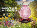 Glass Hummingbird Feeder for Outdoors Hanging, Bird Nectar Feeder with Perch & 5 Flower Feeding Ports, 26 Oz Leak Proof for Outside Garden Decor Backyard, Gifts for Women Mom, Pink by GreenHaven Gardens