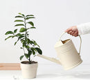 Watering Can for Indoor Plants, Flower Watering Can, Plastic Water Can for Plants with Sprinkler Head 68 oz, 1/2 Gallons by GreenHaven Gardens