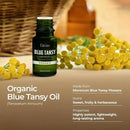 Gya Labs Blue Tansy Essential Oils for Skin - 0.17 Fl Oz - 100% Pure Natural Organic Blue Tansy Oil for Face, Diffuser, Candle Making Scent by CozyNest Decor