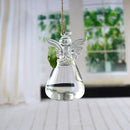 Angel Design Glass Vases Clear Flower Plant Terrarium Container Hanging Vase Wedding Decor Garden Ornaments Hanging Planter (Pack of 8) by CozyNest Decor