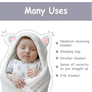 Jam Naturals- Baby Swaddle Blanket, Cute Bear Organic Receiving Swaddling Wrap, Newborn Baby Girl Soft Plush Registry Gift (Pink 0-3) by TinyTreasures Baby Boutique
