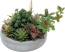 MyGift Assorted Indoor Fake Plants Artificial Succulent Arrangement in Round Gray Cement Planter Pot by CozyNest Decor