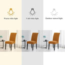 Joccun Chair Covers for Dining Room Set of 2, Dining Chair Slipcovers Stretch Dining Room Chair Covers Seat Protector,Washable Parsons Chair Cover for Home,Hotel,Banquet(Gold,2 Pack) by CozyNest Decor