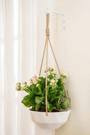 Mkono Hanging Plant Bracket 6 inch Metal Wall Plant Hook Decorative Plant Hanger for Bird Feeders, Planters, Lanterns, Wind Chimes, Home Decor Indoor Outdoor 2 Pack, White by GreenHaven Gardens